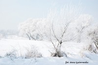 /album/fotokrasnik/a16114644-1311511252249340-8696369368772245532-n-1-jpg1/